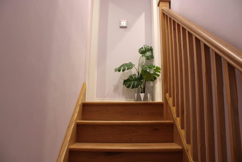 5 Star Apartment Лондон Экстерьер фото